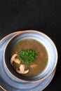 Mushroom soup in a deep bowl on a dark background. Mushrooms and champignons. Lean menu. Healthy food. Copy space Royalty Free Stock Photo