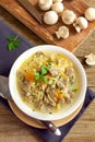 Mushroom soup with millet Royalty Free Stock Photo