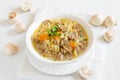 Mushroom soup with millet Royalty Free Stock Photo