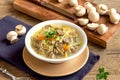 Mushroom soup with millet Royalty Free Stock Photo