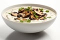 Mushroom Soup with Parsley Royalty Free Stock Photo