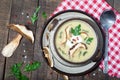 Mushroom soup with parsley, dill and fungi. Royalty Free Stock Photo