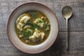 Mushroom soup plate with porcini mushrooms, dumplings, potato, carrot, onion, fresh green dill and pepper on black background, Royalty Free Stock Photo