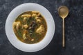 Mushroom soup plate with porcini mushrooms, dumplings, potato, carrot, onion, fresh green dill and pepper on black background, Royalty Free Stock Photo