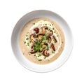 Mushroom Soup On White Plate On A White Background