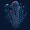 Mushroom spores similar to sea jellyfish. Illustrations and Clip Art AI generated.
