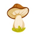 Mushroom with Stem and Cap as Landscape Element Vector Illustration