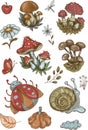 Mushroom stickers insects forest hand drawn set of separate elements cute cartoon coloring doodle