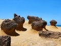 Mushroom stone shape in Yehliu Geopark, Taipei, Taiwan.