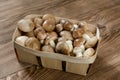 Mushroom Suillus in wooden box. Autumn Cep Mushrooms over Wooden Dark Background, close up on wood rustic table Royalty Free Stock Photo