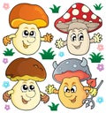 Mushroom theme collection 2