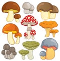 Mushroom theme collection Royalty Free Stock Photo