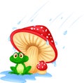 Mushroom with a toad
