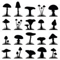 Mushroom and toadstool vector illustration