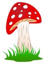 Mushroom, toadstool or fly agaric standing in grass as cartoon and vector on a white isolated background