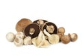 Mushroom Varieties over White