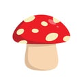 Mushroom Vector Illustration Royalty Free Stock Photo