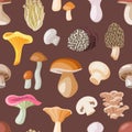 Mushroom vector natural fungus and mushrooming organic food illustration set of edible champignon isolated on background Royalty Free Stock Photo