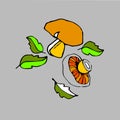 mushroom vector organic illustration foot fungus natural vegetable healthy