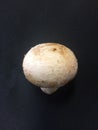 Mushroom white with brown spots (blotch disease)