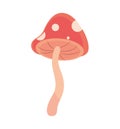 mushroom wild icon