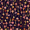 Mushroom wonderland