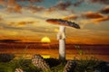 Mushroom in the wood at sunset in the rain Royalty Free Stock Photo
