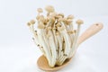 Mushroom on wooden spoon