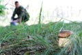 Mushroomer find white cep Royalty Free Stock Photo