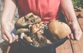 Mushrooming in Polish mountains. Orange bolete collection