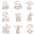 Mushrooms