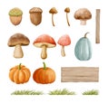 Mushrooms autumn set with grass in watercolor painting style. Mushrooms isolated on a white background Royalty Free Stock Photo