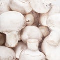 Mushrooms background Royalty Free Stock Photo