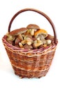 Mushrooms in basket Royalty Free Stock Photo