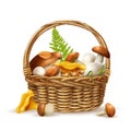 Mushrooms Basket Realistic Concept