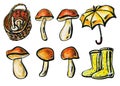 Mushrooms, basket, umbrella and boots