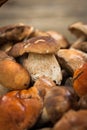 Mushrooms In Basket Royalty Free Stock Photo