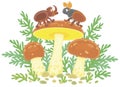 Mushrooms and beetles