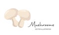 Cartoon vector icon illustration of mushroom champignon Royalty Free Stock Photo