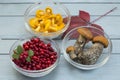 Mushrooms and berries on a wooden background