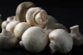 Mushrooms on a black background.Sale of mushrooms and champignons