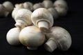 Mushrooms on a black background.Sale of mushrooms and champignons