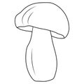 Mushrooms. Bolete, Black and white isolated. Vintage. Coloring page
