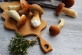 Mushrooms boletus over white wooden Background. Autumn cep mushrooms. Mushrooms picking and cooking Royalty Free Stock Photo