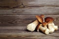 Mushrooms boletus on wooden background. Autumn mushrooms. Gourment food