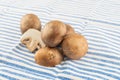 Mushrooms brown, royal whole and cut on a light background Royalty Free Stock Photo