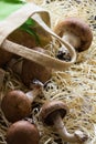 Mushrooms with canvas bag on straw