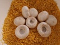 Mushrooms champignon on corn grain crushed Royalty Free Stock Photo