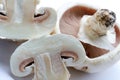 Mushrooms champignons Royalty Free Stock Photo