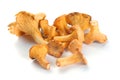 Mushrooms chanterelle Royalty Free Stock Photo